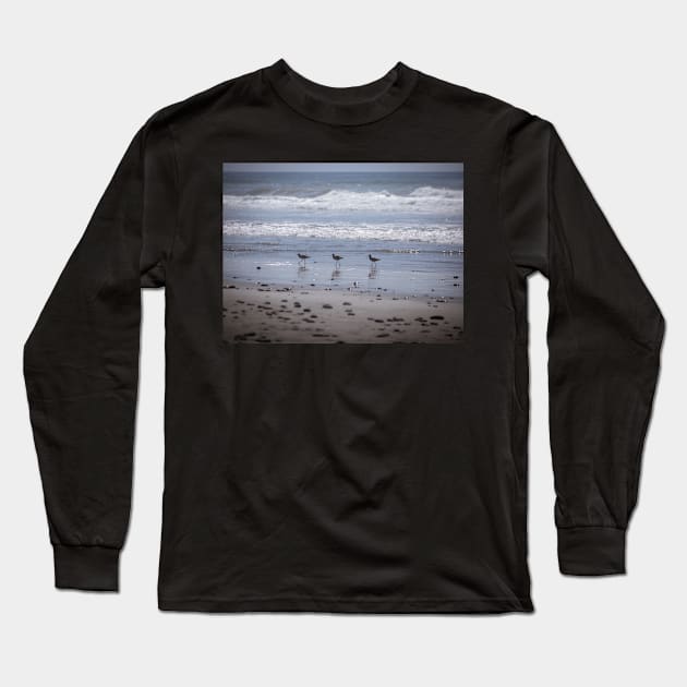 California Beach Birds Chilling on the Sunny Beach Photo V2 Long Sleeve T-Shirt by Family journey with God